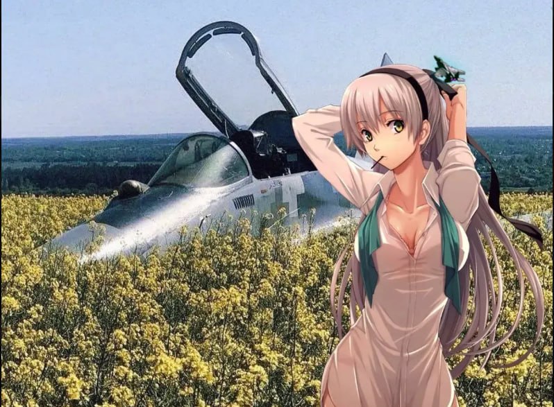 Lockheed Martin Inu meme 108