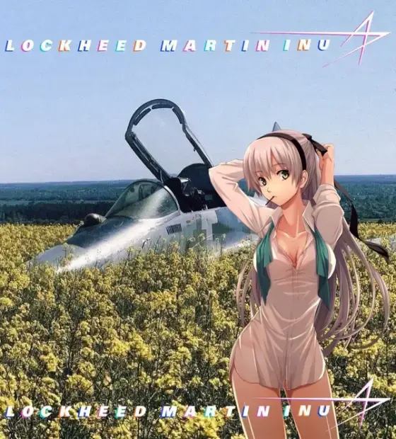 Lockheed Martin Inu meme 13