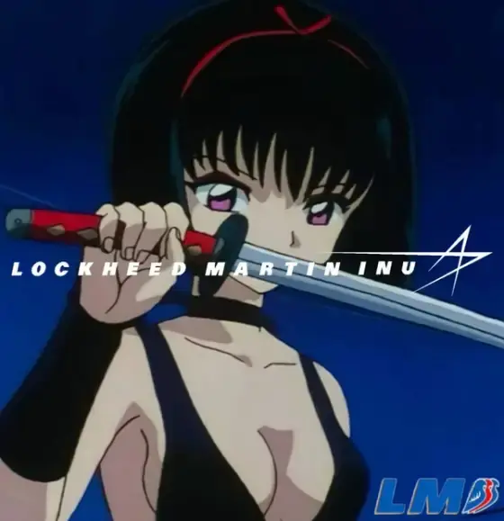 Lockheed Martin Inu meme 62