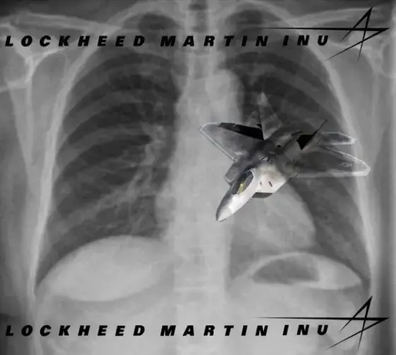 Lockheed Martin Inu meme 25
