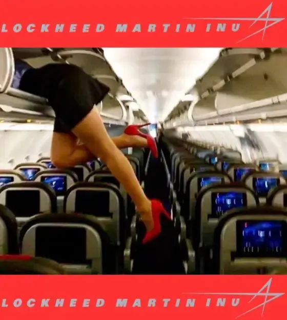 Lockheed Martin Inu meme 132