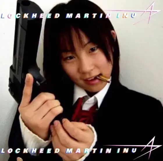 Lockheed Martin Inu meme 32