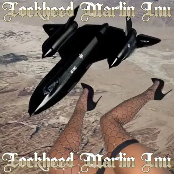 Lockheed Martin Inu meme 48